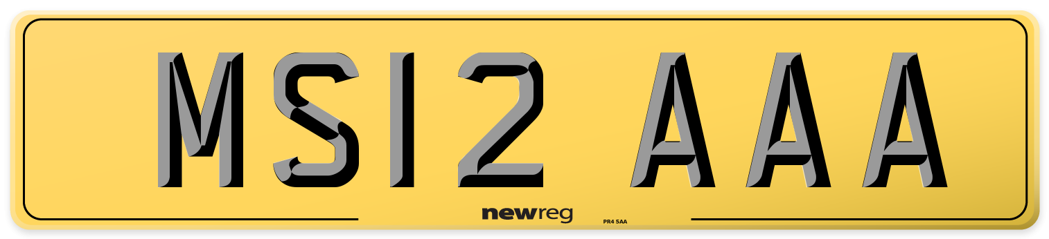 MS12 AAA Rear Number Plate