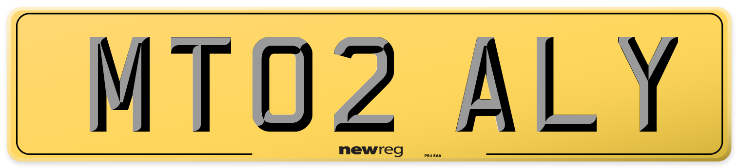 MT02 ALY Rear Number Plate