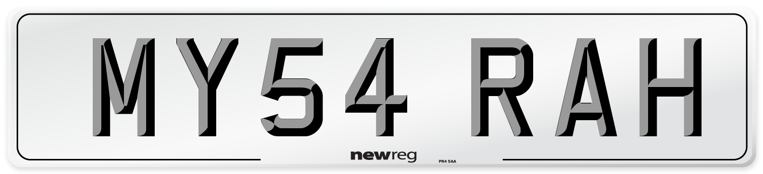MY54 RAH Front Number Plate
