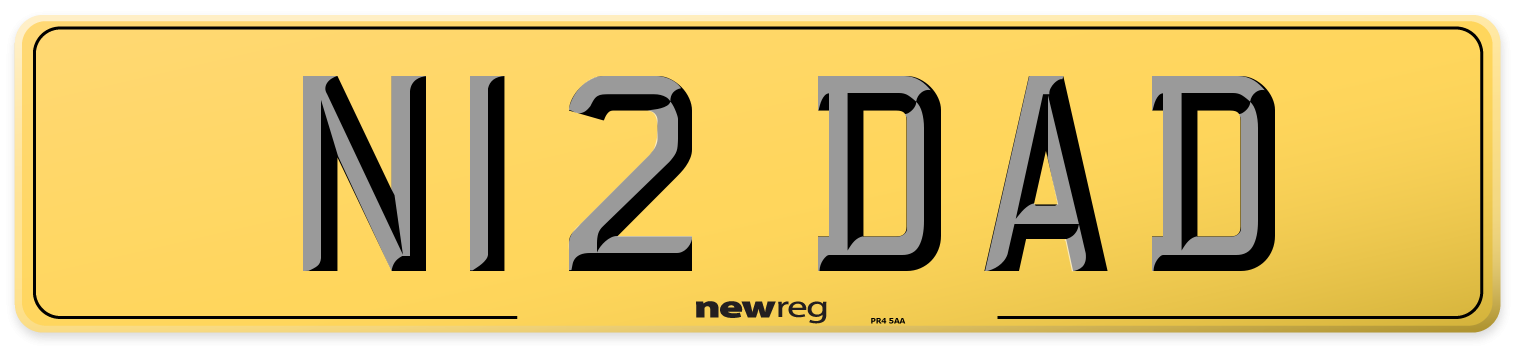 N12 DAD Rear Number Plate