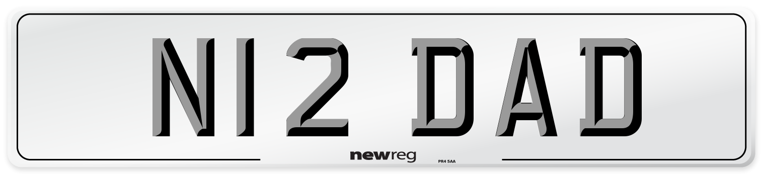N12 DAD Front Number Plate