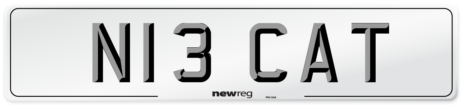 N13 CAT Front Number Plate