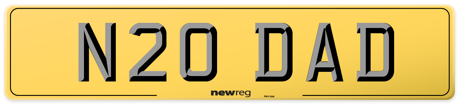 N20 DAD Rear Number Plate