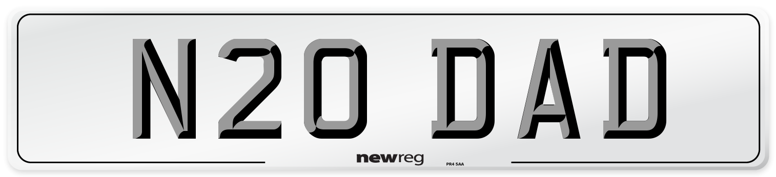 N20 DAD Front Number Plate