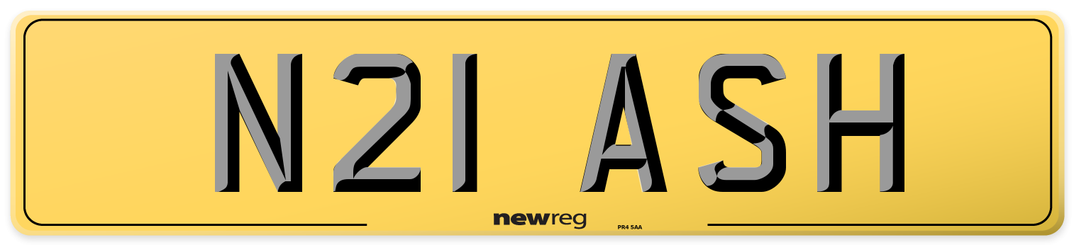 N21 ASH Rear Number Plate