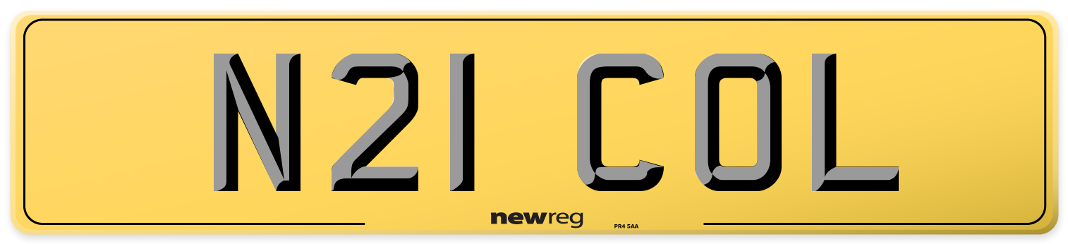 N21 COL Rear Number Plate
