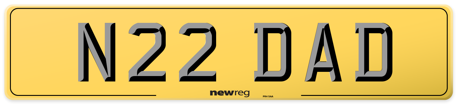 N22 DAD Rear Number Plate