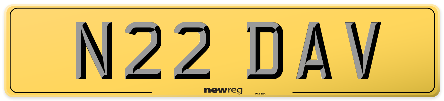 N22 DAV Rear Number Plate