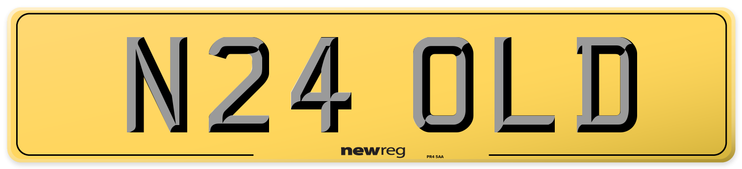 N24 OLD Rear Number Plate
