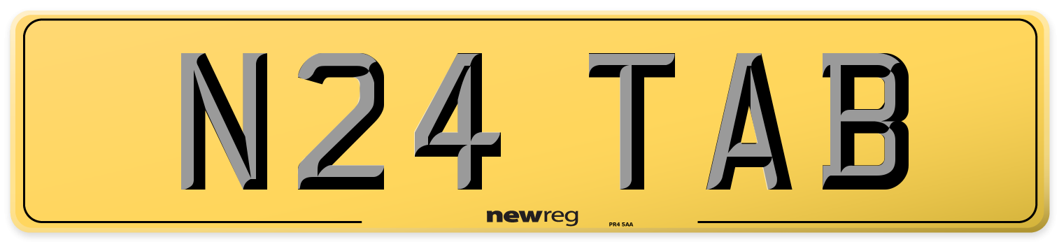 N24 TAB Rear Number Plate