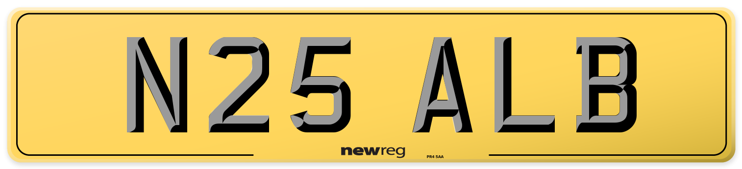 N25 ALB Rear Number Plate