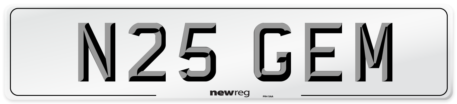 N25 GEM Front Number Plate