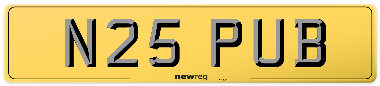 N25 PUB Rear Number Plate