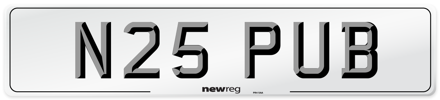N25 PUB Front Number Plate