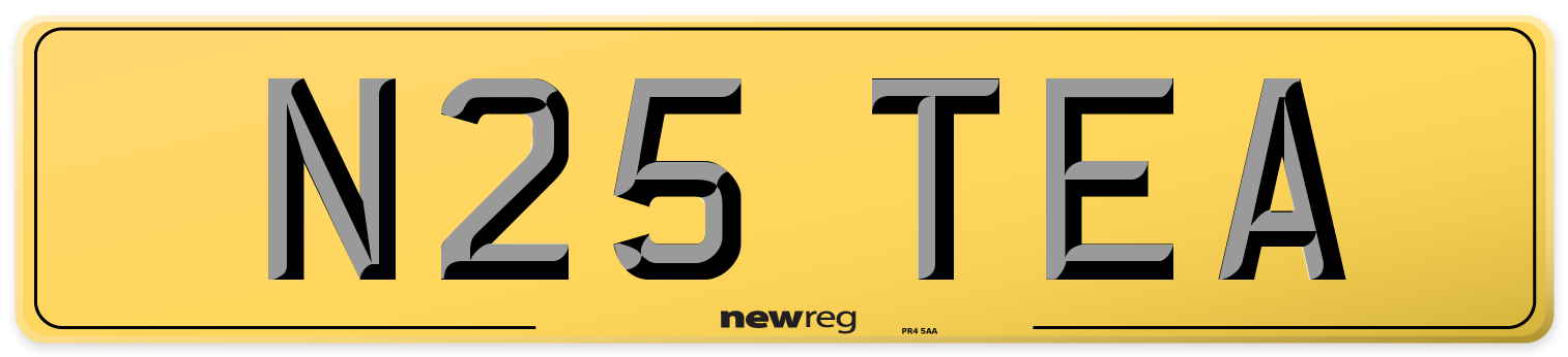 N25 TEA Rear Number Plate