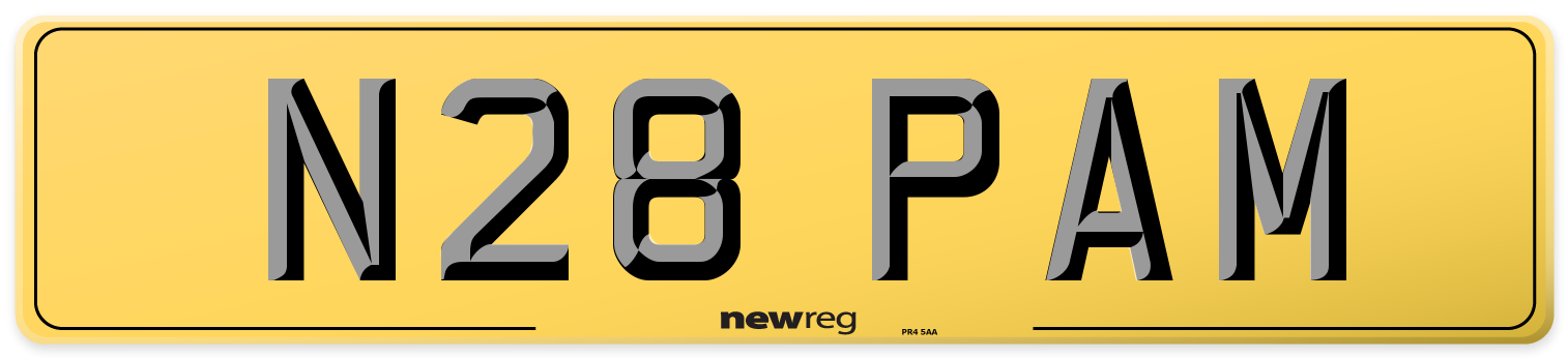 N28 PAM Rear Number Plate