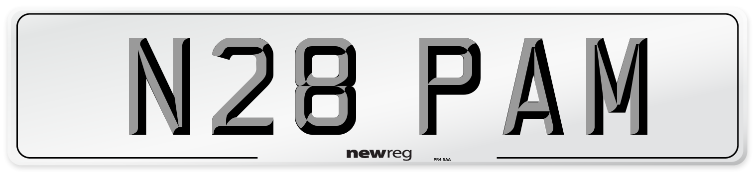 N28 PAM Front Number Plate
