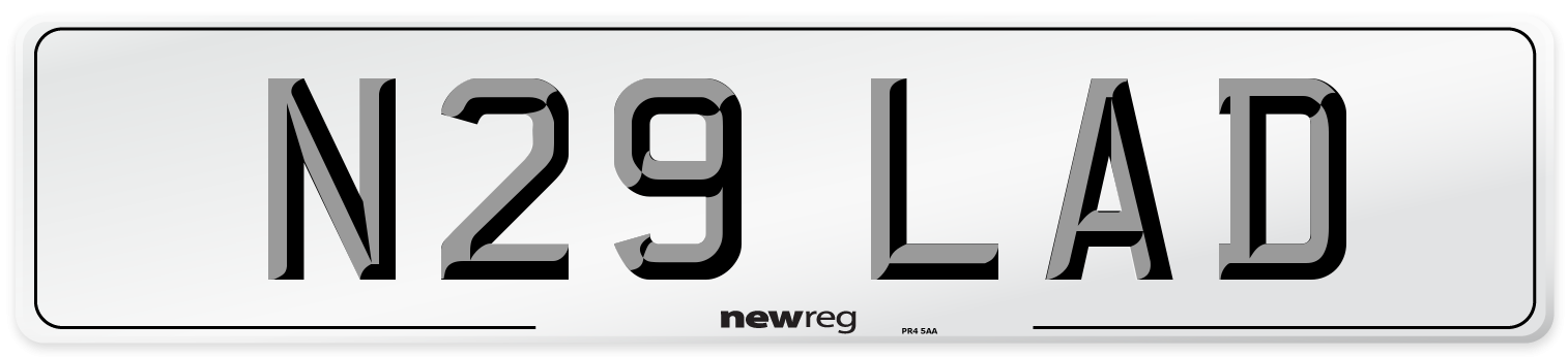 N29 LAD Front Number Plate