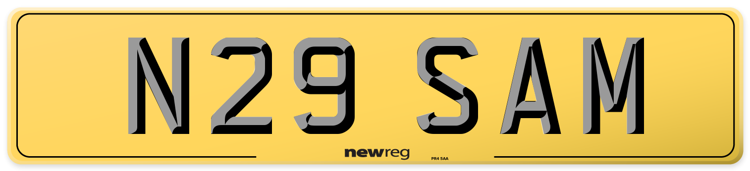 N29 SAM Rear Number Plate