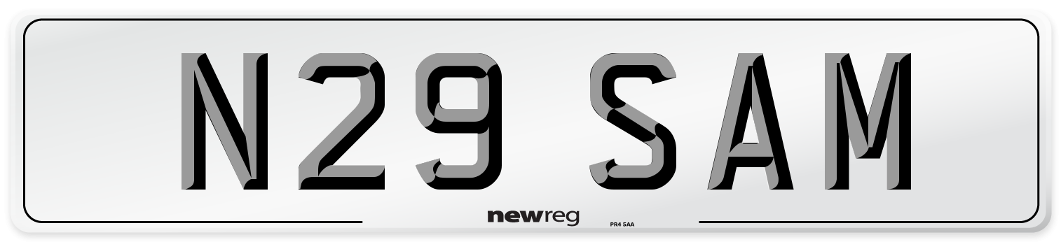 N29 SAM Front Number Plate