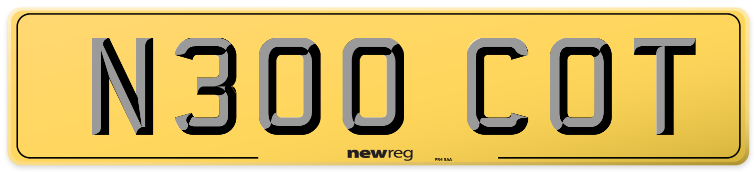 N300 COT Rear Number Plate