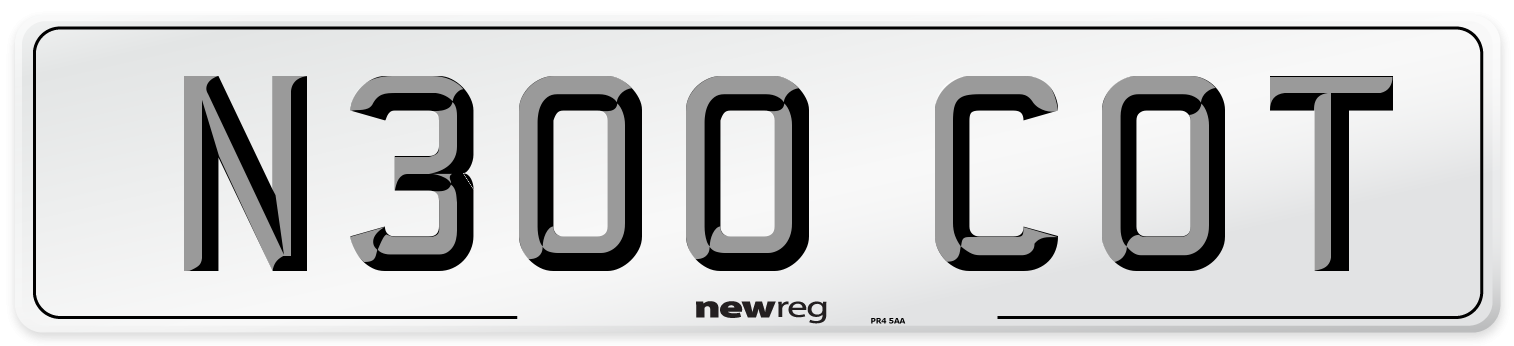 N300 COT Front Number Plate