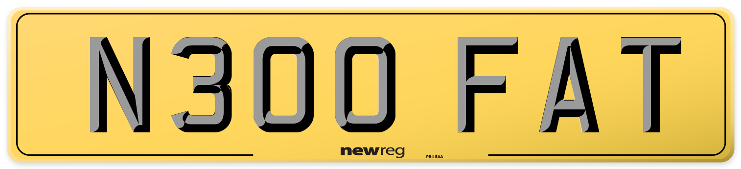 N300 FAT Rear Number Plate