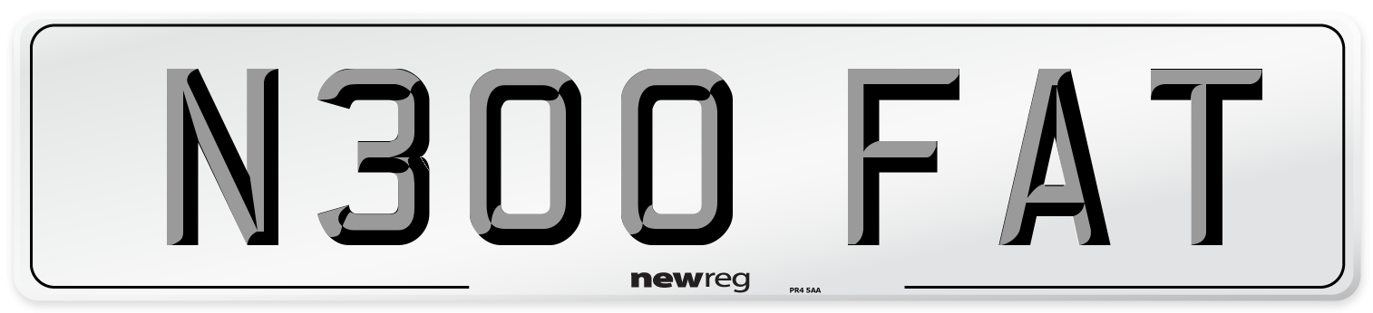 N300 FAT Front Number Plate