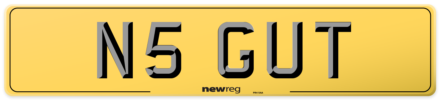 N5 GUT Rear Number Plate
