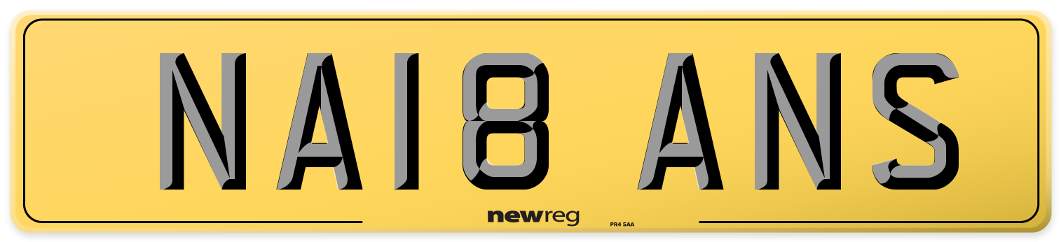 NA18 ANS Rear Number Plate