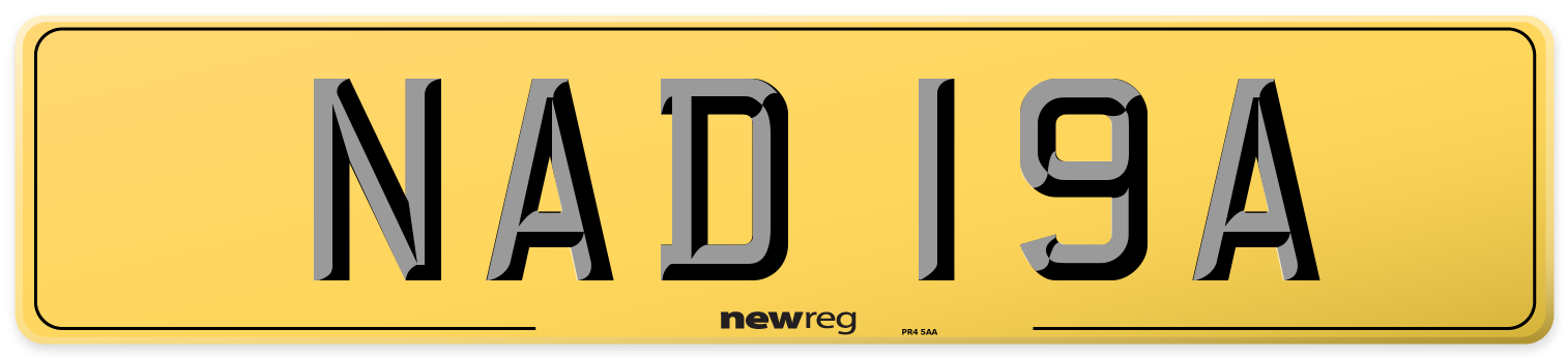 NAD 19A Rear Number Plate