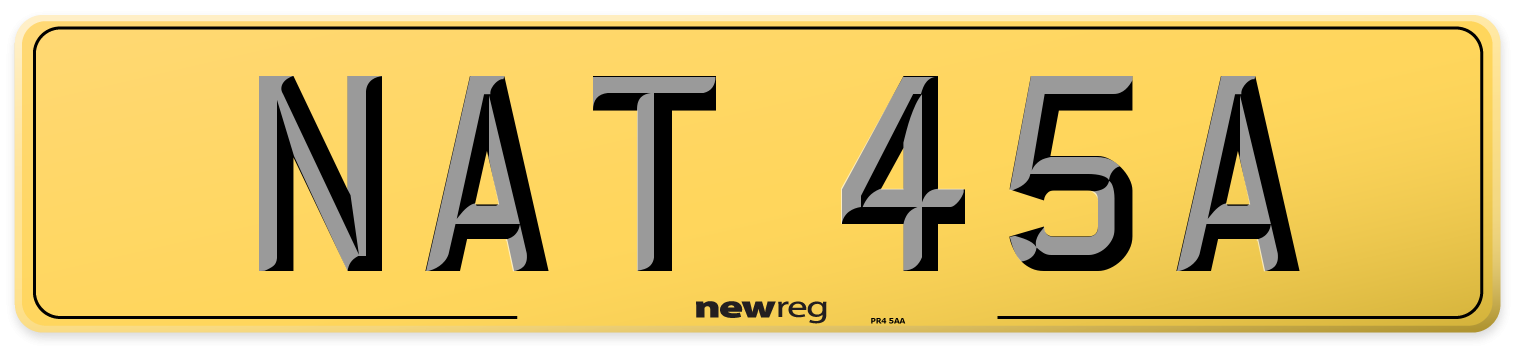 NAT 45A Rear Number Plate