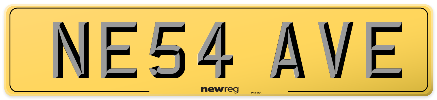 NE54 AVE Rear Number Plate