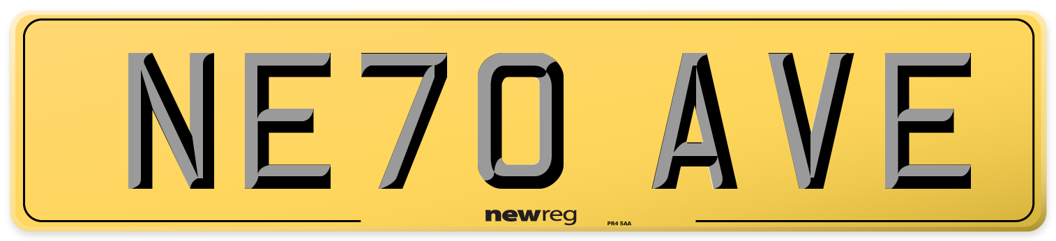 NE70 AVE Rear Number Plate
