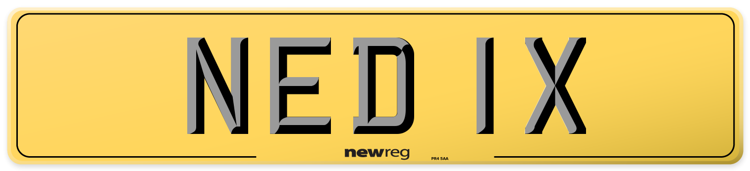 NED 1X Rear Number Plate