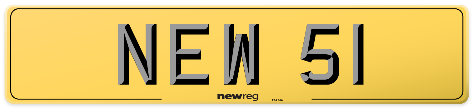 NEW 51 Rear Number Plate