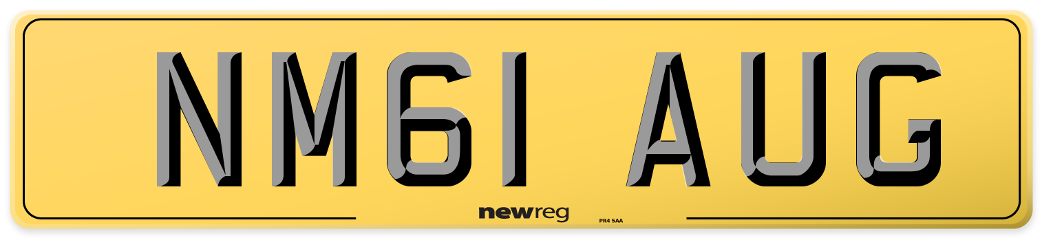 NM61 AUG Rear Number Plate
