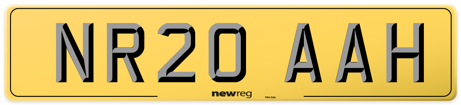 NR20 AAH Rear Number Plate
