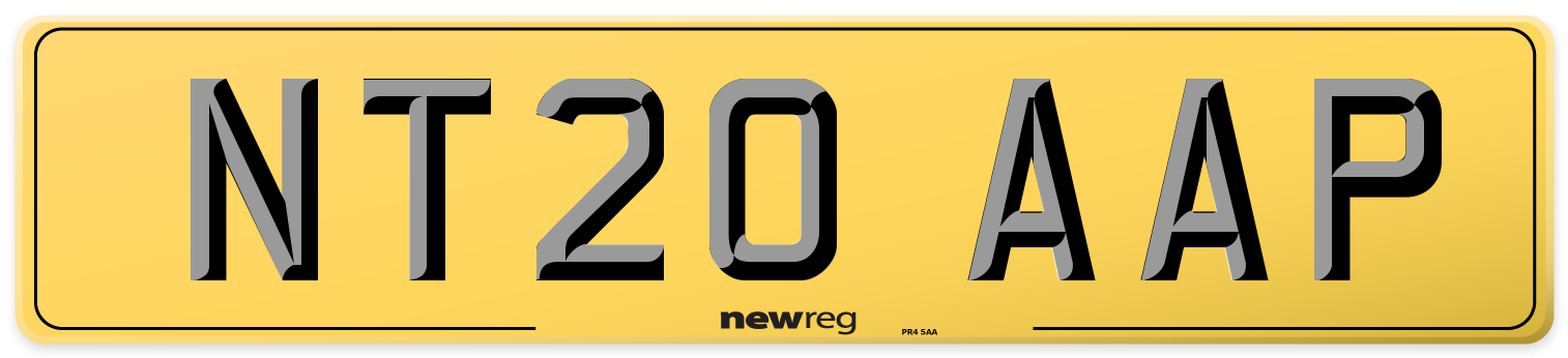 NT20 AAP Rear Number Plate
