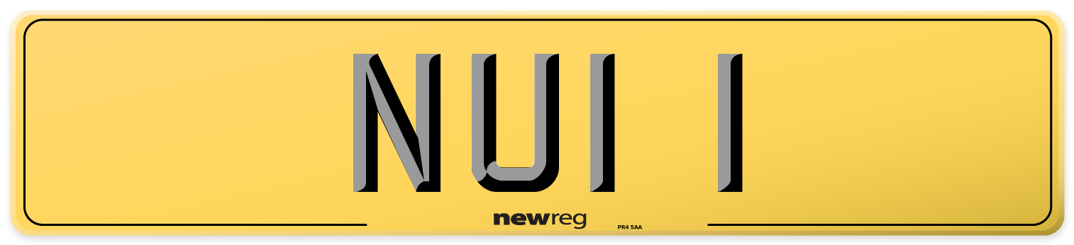 NUI 1 Rear Number Plate