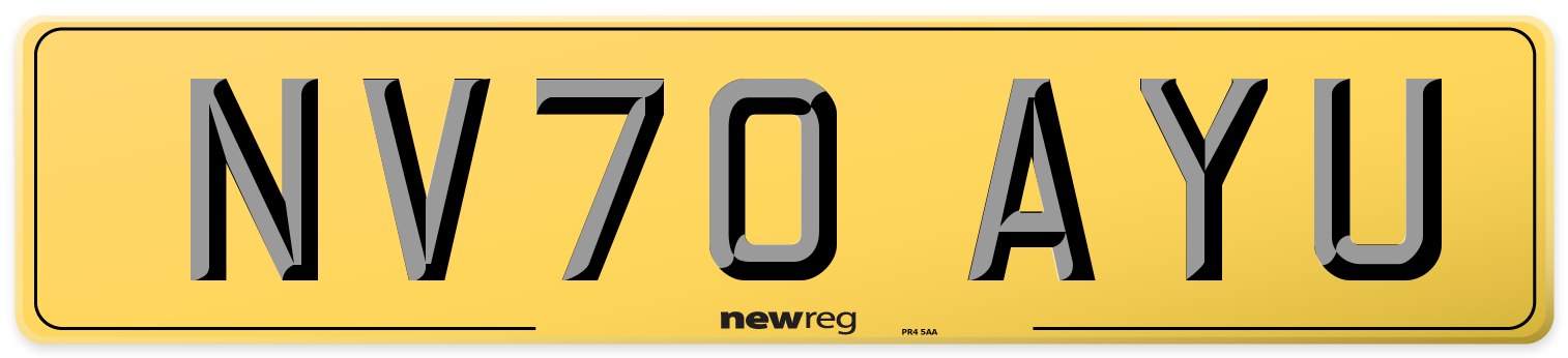 NV70 AYU Rear Number Plate