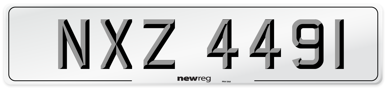 NXZ 4491 Front Number Plate