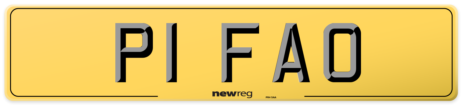 P1 FAO Rear Number Plate
