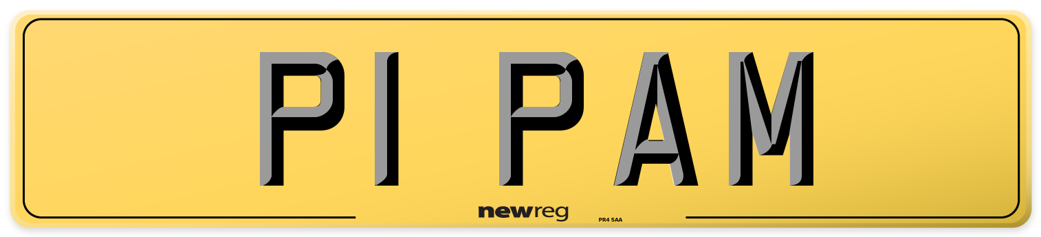 P1 PAM Rear Number Plate