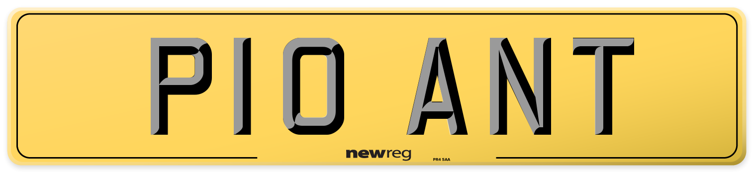 P10 ANT Rear Number Plate