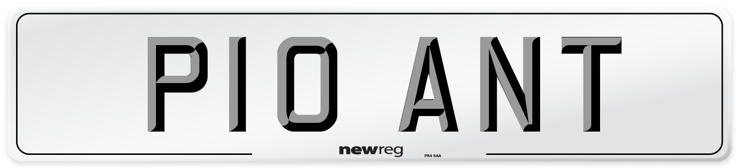 P10 ANT Front Number Plate