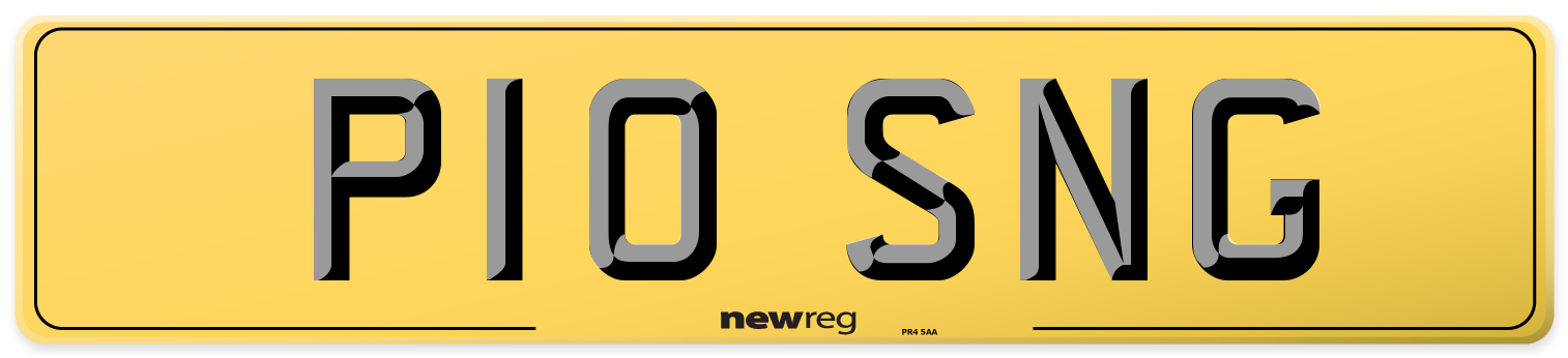 P10 SNG Rear Number Plate