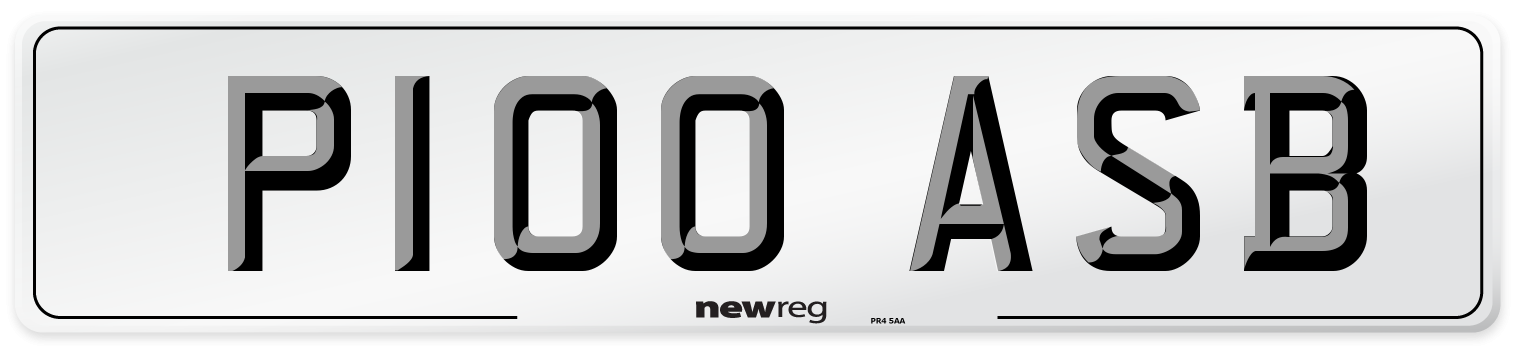 P100 ASB Front Number Plate