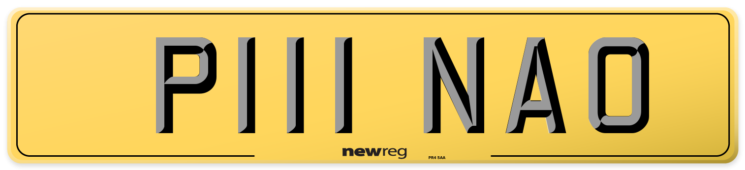 P111 NAO Rear Number Plate