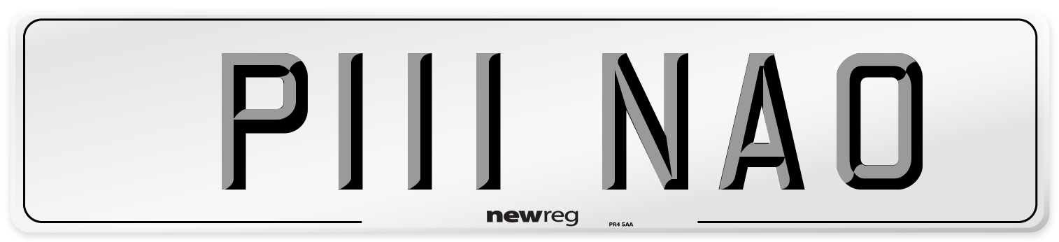 P111 NAO Front Number Plate
